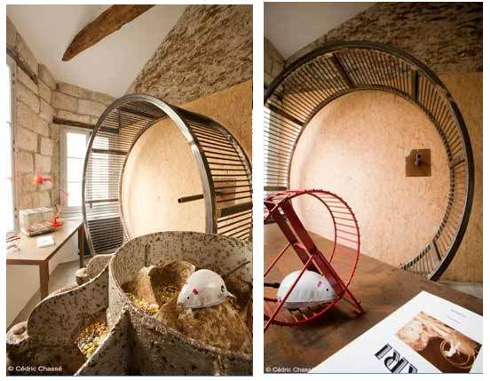 Maison géante pour hamster !