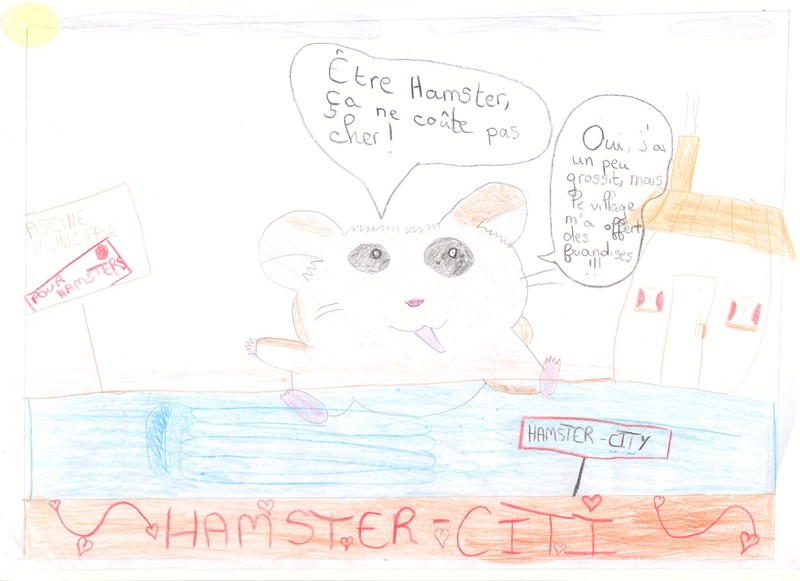 http://www.hamsteracademy.fr/concours/images_concours_novembre_2009/web/cheval1999..jpg