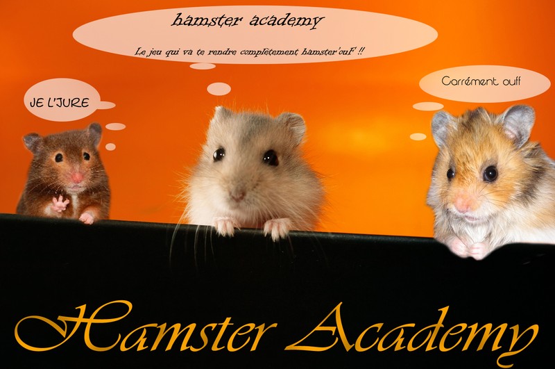 http://www.hamsteracademy.fr/concours/images_concours_novembre_2009/web/jenny6287@hotmail.fr.jpg