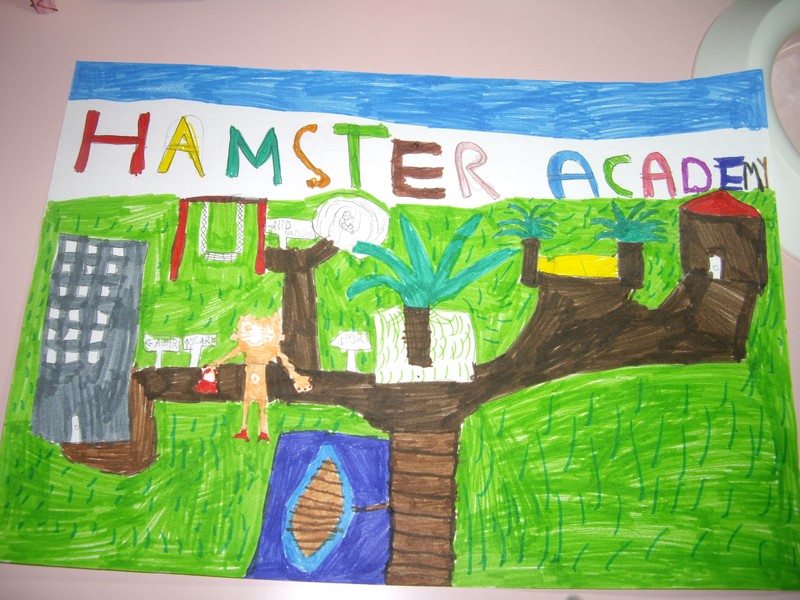 http://www.hamsteracademy.fr/concours/images_concours_novembre_2009/web/rose324.JPG