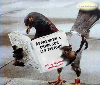 http://www.hamsteracademy.fr/forum/uploads/103283_gaty-vip-blog-com-75144ebukcius.jpg