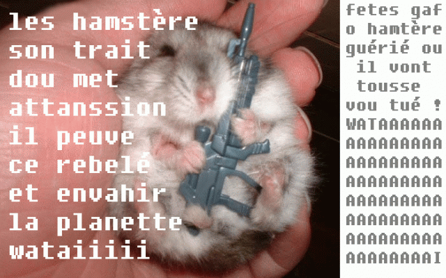 http://www.hamsteracademy.fr/forum/uploads/222095_hamguaria.png