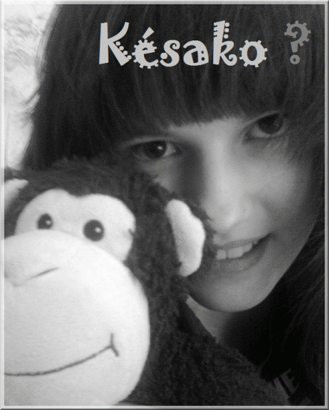 http://www.hamsteracademy.fr/forum/uploads/222095_kasako.png