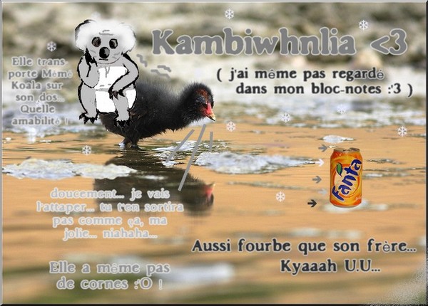 http://www.hamsteracademy.fr/forum/uploads/308098_annipoupoule6.jpg