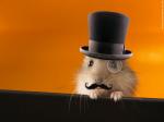 http://www.hamsteracademy.fr/forum/uploads/thumbs/244447_hamster_thaatre.jpg