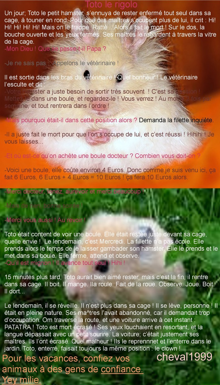 Gazette de Hamster Academy