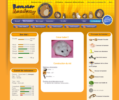 Mes hamsters dans Hamster Academy