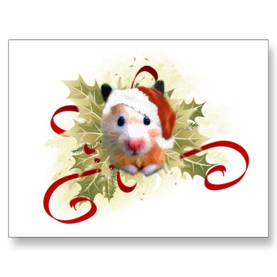 http://www.hamsteracademy.fr/images/joyeuxNoel_fr.jpg